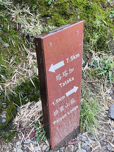 【登山】玉山初次見面 【登山】玉山初次見面