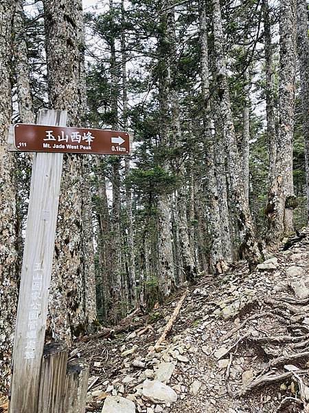 【登山】玉山初次見面 【登山】玉山初次見面