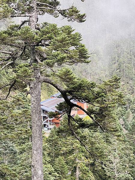 【登山】玉山初次見面