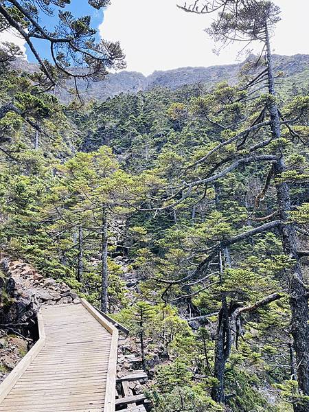 【登山】玉山我來了｜兩日行程-第二天｜北峰碎石坡段超硬｜主峰