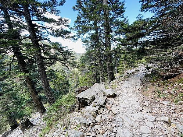 【登山】玉山我來了｜兩日行程-第二天｜北峰碎石坡段超硬｜主峰