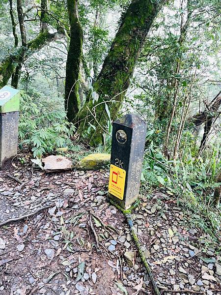 【登山】單攻失敗再戰北大武｜北大武兩天一夜-第一天｜走兩天沒