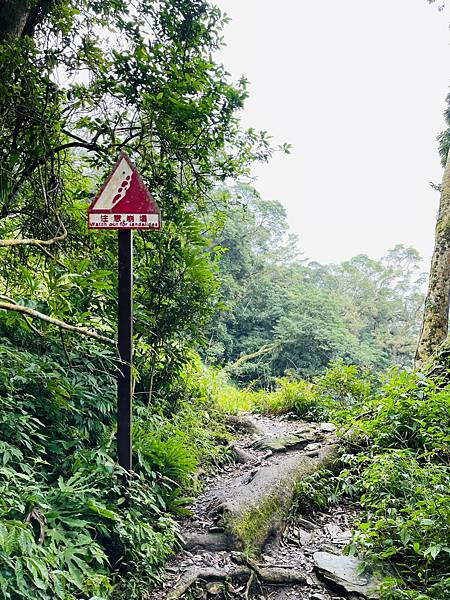【登山】單攻失敗再戰北大武｜北大武兩天一夜-第一天｜走兩天沒