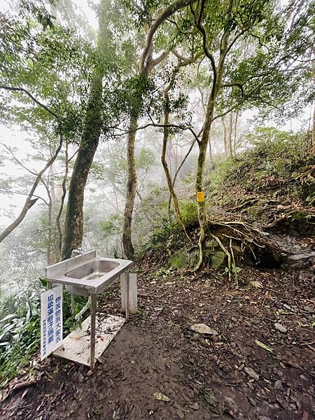 【登山】單攻失敗再戰北大武｜北大武兩天一夜-第一天｜走兩天沒