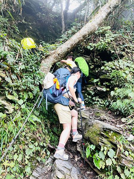 【登山】單攻失敗再戰北大武｜北大武兩天一夜-第一天｜走兩天沒