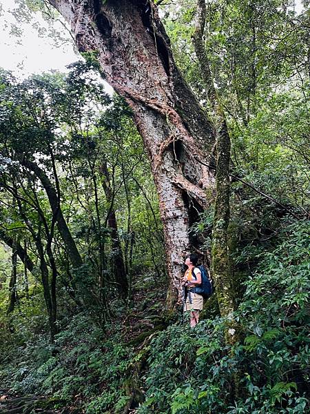 【登山】單攻失敗再戰北大武｜北大武兩天一夜-第一天｜走兩天沒