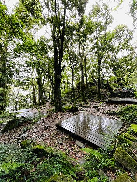 【登山】單攻失敗再戰北大武｜北大武兩天一夜-第一天｜走兩天沒