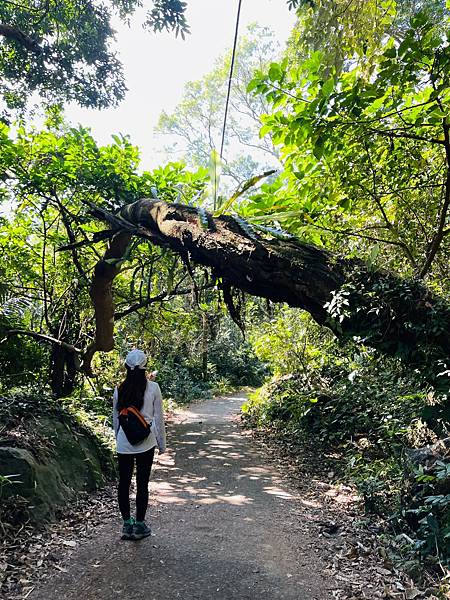 【崁頭山】 【崁頭山】