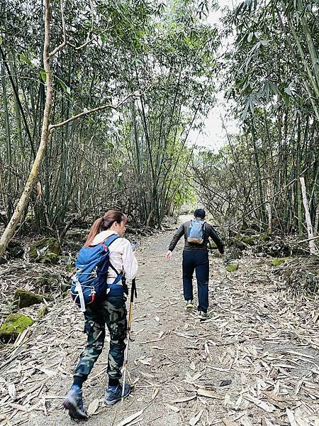 【三腳南山】有點意思｜地乾也滑地濕更滑的小百岳｜峰頂海拔11