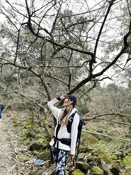 【三腳南山】有點意思｜地乾也滑地濕更滑的小百岳｜峰頂海拔11
