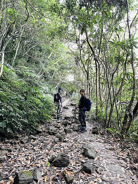 【三腳南山】有點意思｜地乾也滑地濕更滑的小百岳｜峰頂海拔11