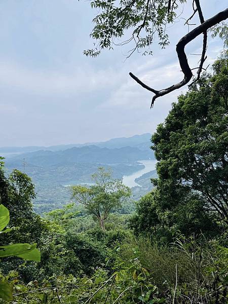 【三腳南山】有點意思｜地乾也滑地濕更滑的小百岳｜峰頂海拔11