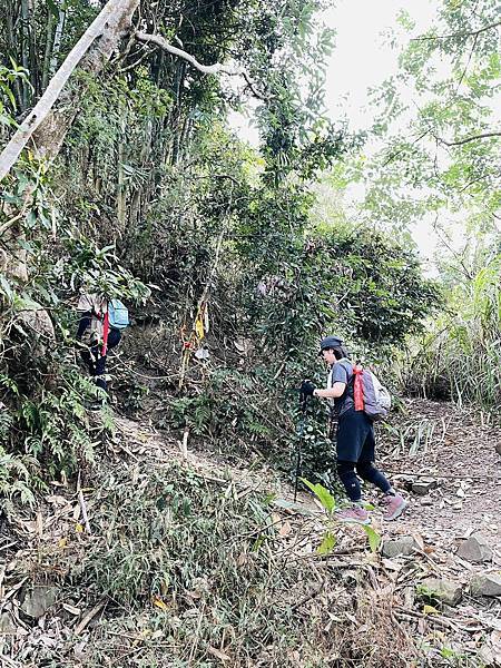 【三腳南山】有點意思｜地乾也滑地濕更滑的小百岳｜峰頂海拔11