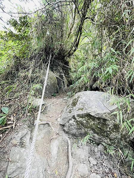 【三腳南山】有點意思｜地乾也滑地濕更滑的小百岳｜峰頂海拔11