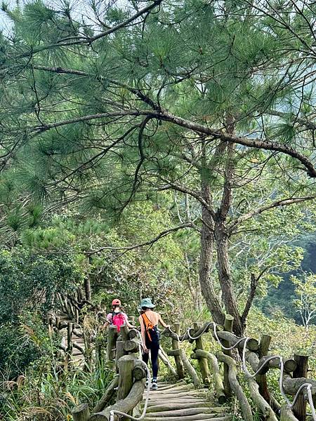 【大坑步道3號】這不是我想像中的步道｜最美步道｜台中｜相思圓