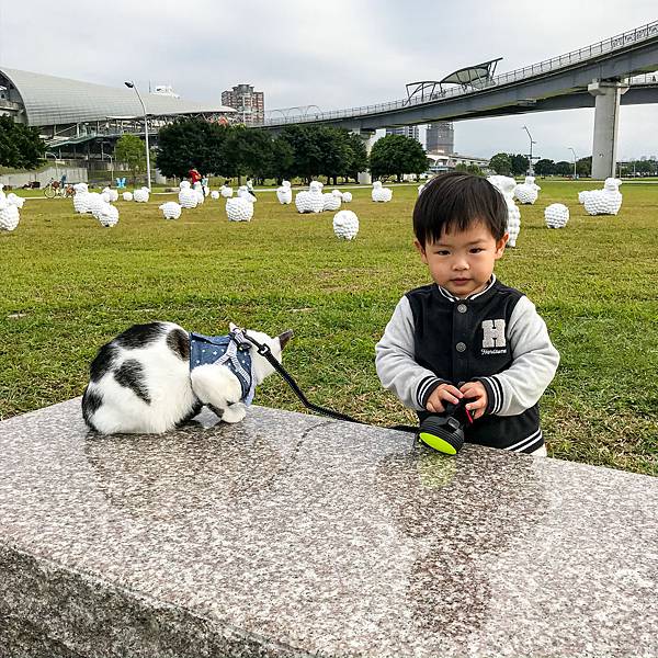 E9AF3C37-CA19-4D30-A5A1-B22ACF747AB7.jpg E9AF3C37-CA19-4D30-A5A1-B22ACF747AB7.jpg