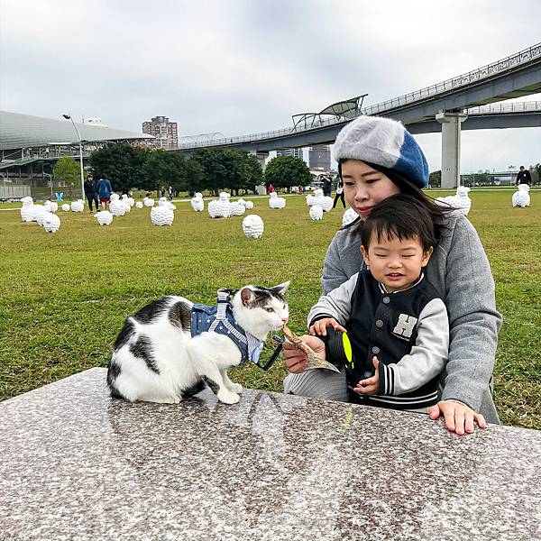 9FC2AEC0-3F7C-42DF-B858-F000D3A176A6.jpg 9FC2AEC0-3F7C-42DF-B858-F000D3A176A6.jpg