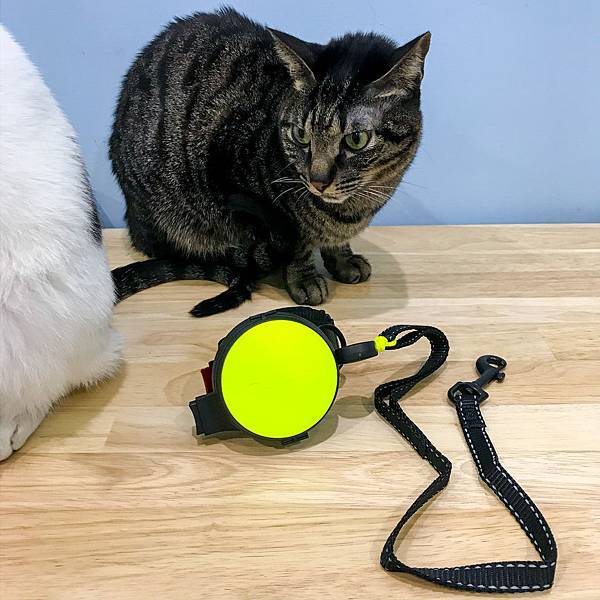 1953E5E0-A8DD-44A6-A978-FEB3F1E4DAB5.jpg 1953E5E0-A8DD-44A6-A978-FEB3F1E4DAB5.jpg