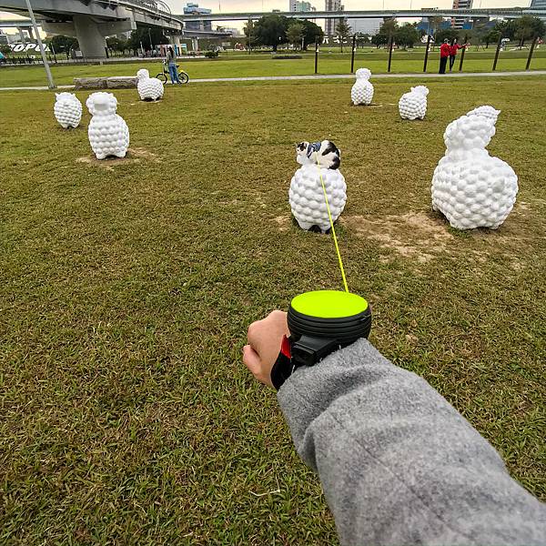 01A8872B-59BD-4AB8-9D9D-72F9463E6B20.jpg 01A8872B-59BD-4AB8-9D9D-72F9463E6B20.jpg