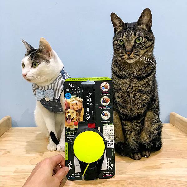 305221AC-D73C-47E4-95AE-56BB8ABBB99C.jpg 305221AC-D73C-47E4-95AE-56BB8ABBB99C.jpg