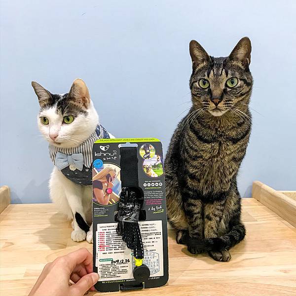 48B65797-B36F-4427-B50E-2101944DD23E.jpg 48B65797-B36F-4427-B50E-2101944DD23E.jpg