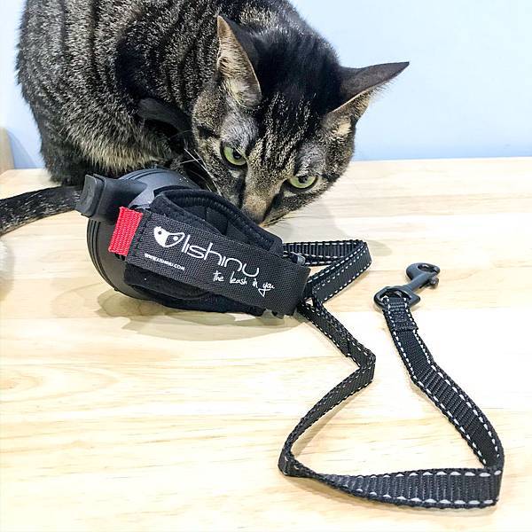 714CF7DF-BD8D-4C5F-9766-7B03E77B7ED0.jpg 714CF7DF-BD8D-4C5F-9766-7B03E77B7ED0.jpg