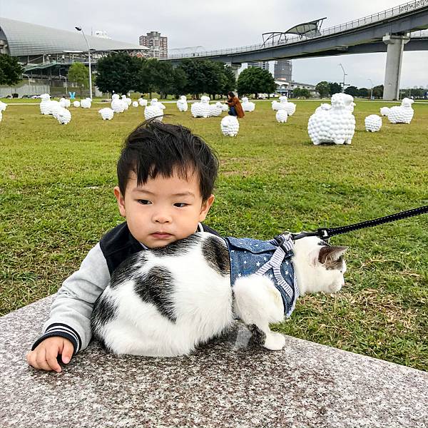 31B27112-DFFE-4C87-B6BE-B228D2EDEE3E.jpg 31B27112-DFFE-4C87-B6BE-B228D2EDEE3E.jpg