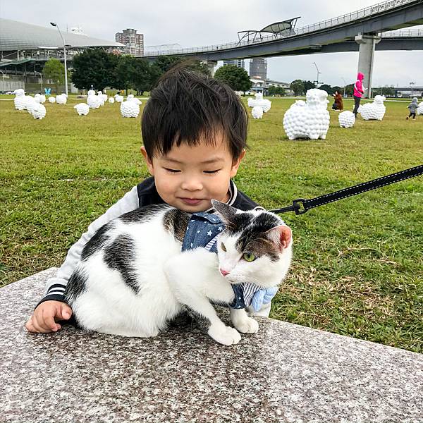 C54D57F2-D9DF-4B10-9735-FB8B2A57FE39.jpg C54D57F2-D9DF-4B10-9735-FB8B2A57FE39.jpg