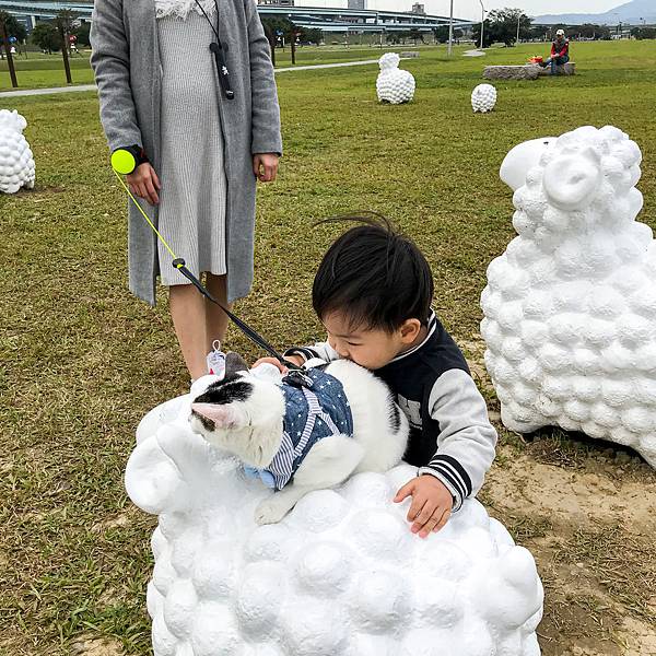 B7C40EDE-CAB3-45C9-8A7B-F7C0E2EF0952.jpg B7C40EDE-CAB3-45C9-8A7B-F7C0E2EF0952.jpg