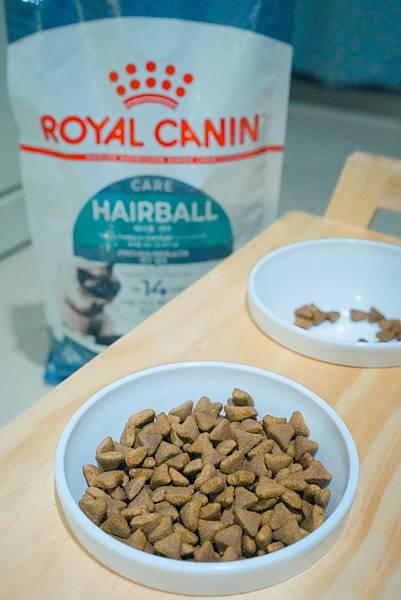 最懂貓犬的法國皇家 ROYAL CANIN，專為貓咪量身訂製