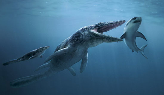 Tylosaurus