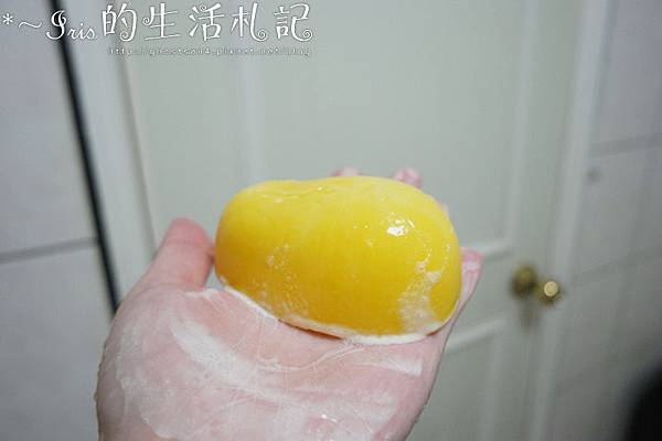 SAM_4881.JPG 試用