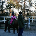 Skansen