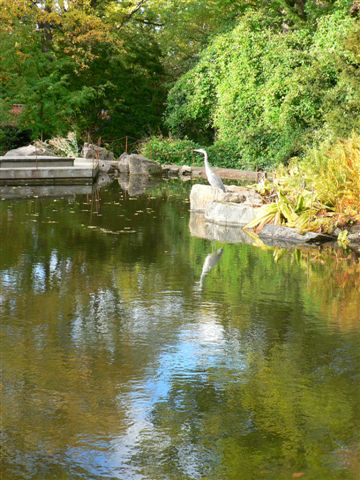 Botaniska Tradgarden