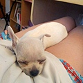 20111030_110322.jpg