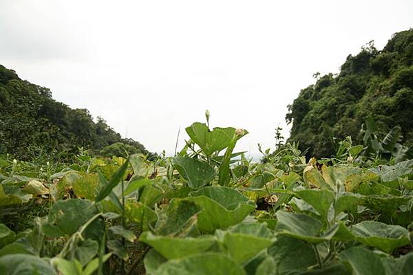 空氣好  器量也會好