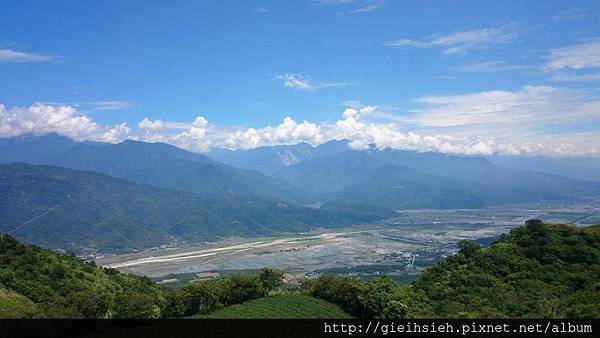 【陪烏龜散步】20150729 親子台灣環島 D5 六十石山金針花海