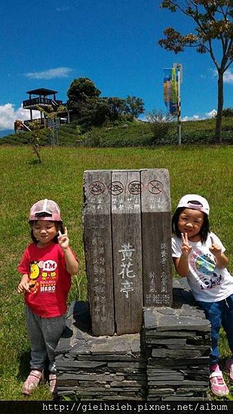 【陪烏龜散步】20150729 親子台灣環島 D5 黃花亭