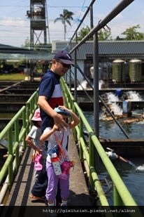 【陪烏龜散步】20160725 親子旅行 D1 八甲休閒魚場