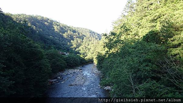 【陪烏龜散步】20160726 親子旅行D2 武陵農場