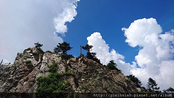 【陪烏龜散步】20160727 親子旅行D3 新中橫