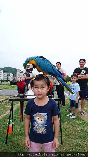 【陪烏龜散步】20160729 親子旅行 D5 駁二藝術特區