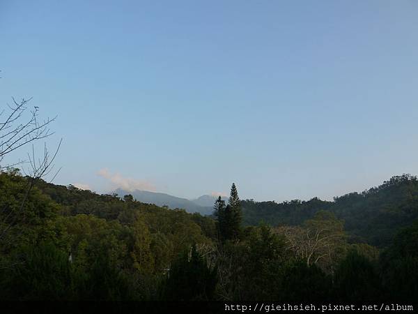 【陪烏龜散步】20161030 東勢林場