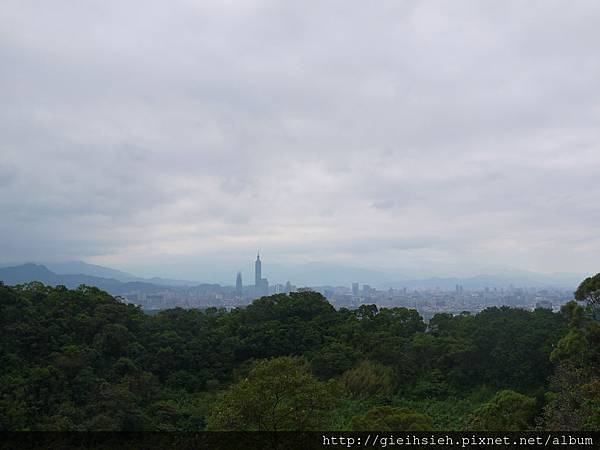 【陪烏龜散步】20161111大溝溪溪畔步道、圓覺寺步道、鯉魚山步道