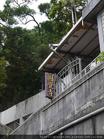 【陪烏龜散步】20161111大溝溪溪畔步道、圓覺寺步道、鯉魚山步道 圓覺寺