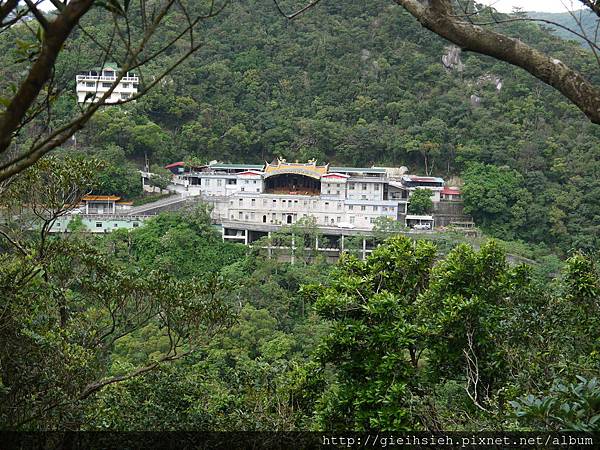 【陪烏龜散步】20161111大溝溪溪畔步道、圓覺寺步道、鯉魚山步道