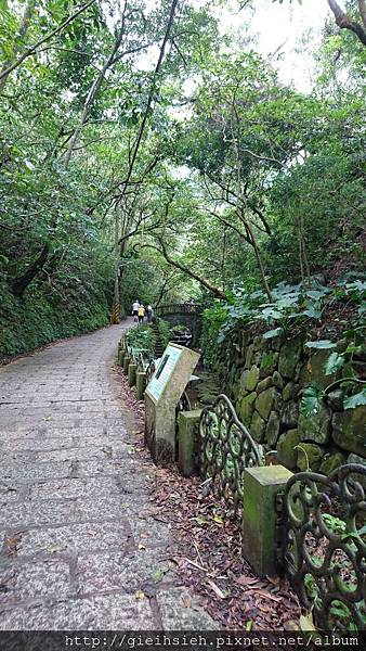 【陪烏龜散步】20161023虎山自然步道、虎山溪步道