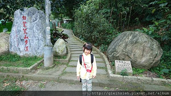 【陪烏龜散步】20161212 白鷺鷥山步道