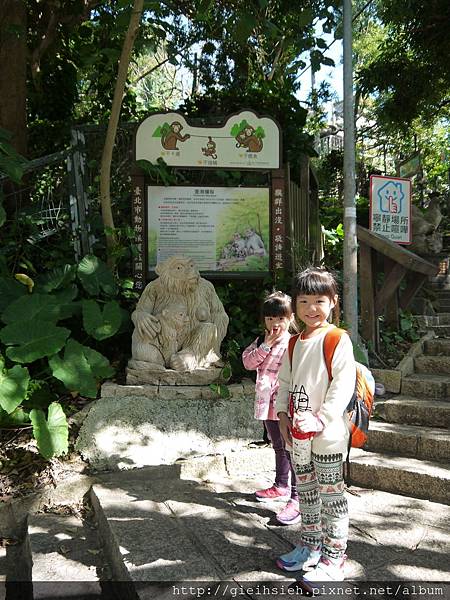 【陪烏龜散步】20161218 水管路步道、天母古道親山步道