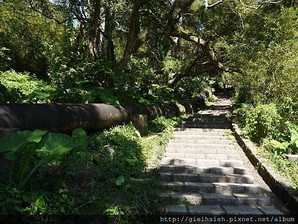 【陪烏龜散步】20161218 水管路步道、天母古道親山步道